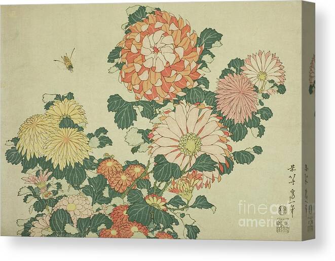 Hokusai Canvas Print featuring the painting Chrysanthemums and Bee by Hokusai