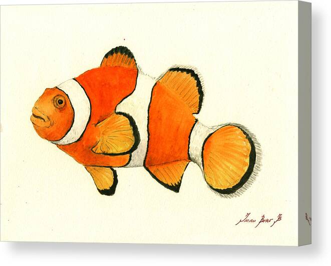 Clown Fish Canvas Print Canvas Art By Juan Bosco