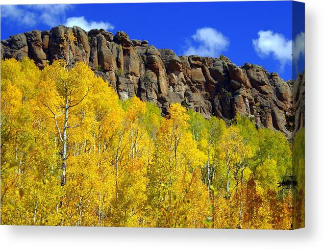  Canvas Print featuring the photograph Colorado Fall 3 by Marty Koch