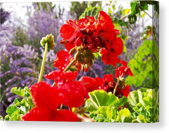 Floral Canvas Print featuring the photograph Colorful Garden II by James Granberry