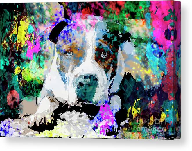 COLOURFUL PIT BULL ACRYLIC PAINTING REPRINT ON FRAMED CANVAS WALL ART DECORATION 