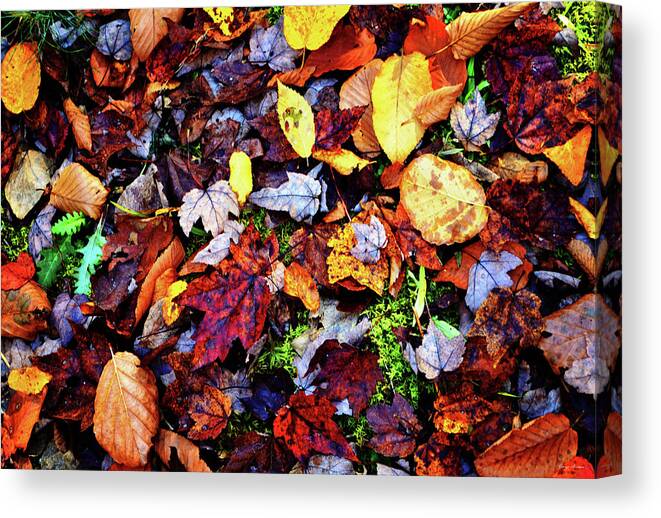 Leaves Canvas Print featuring the photograph Colors Of Nature - Fallen Leaves 003 by George Bostian
