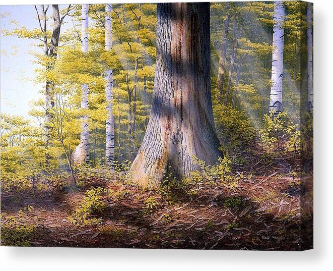 Woodland Canvas Print featuring the painting Colors of Spring by Conrad Mieschke