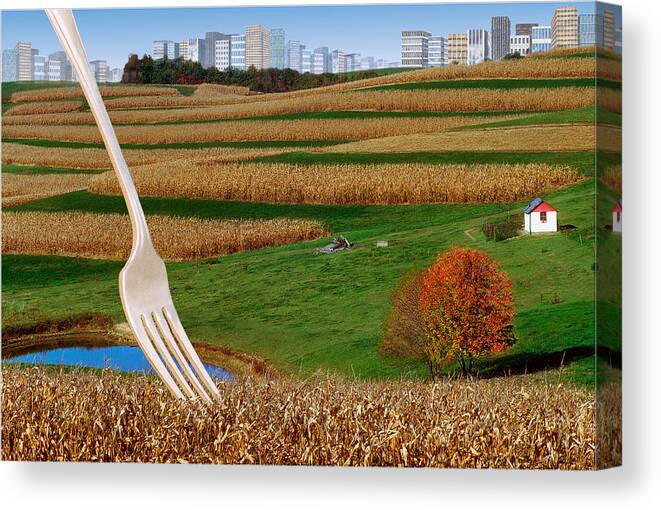 Farms & Barns Canvas Print featuring the photograph Cornfields With City by Dolores Kaufman