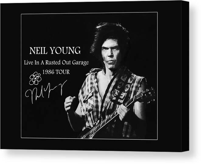 Neil Young Canvas Print featuring the photograph Cortez Look by Roger Lyon