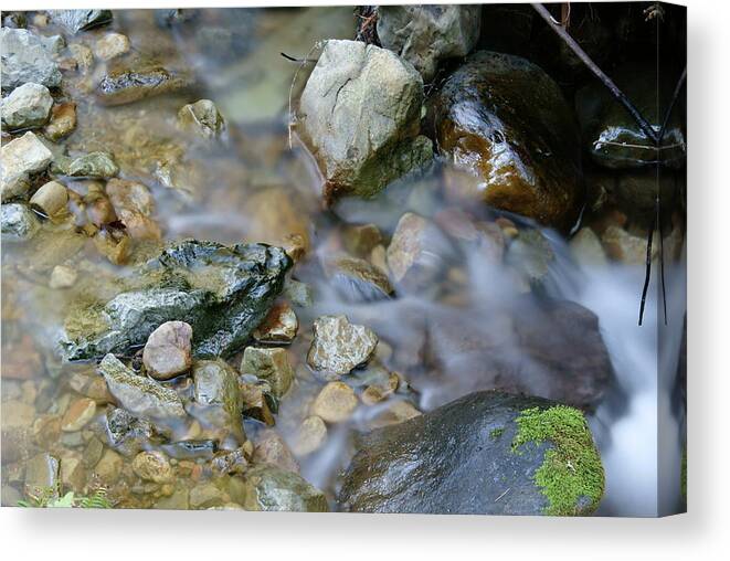 Mount Tamalpais Canvas Print featuring the photograph Creek on Mt Tamalpais by Ben Upham III