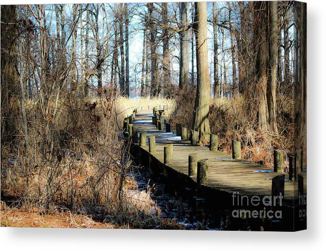 Reelfoot Lake Canvas Print featuring the photograph Cyprus Pier Reelfoot Lake by Veronica Batterson