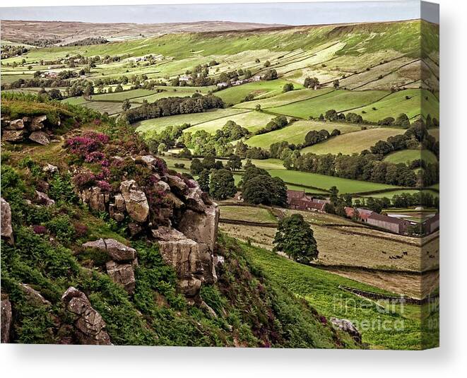 Yorkshire Moors Landscape Canvas Print featuring the photograph Danby Dale Yorkshire Landscape by Martyn Arnold