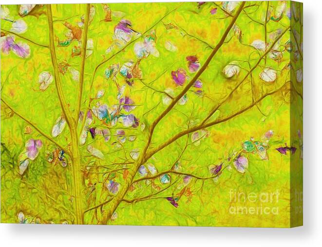 green Tree Canvas Print featuring the photograph Dancing in the Wind 01 - 343 by Variance Collections