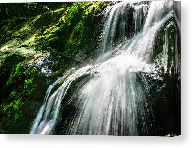 Color Canvas Print featuring the photograph Dark Hollow Falls -2 by Alan Hausenflock