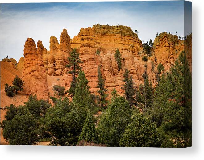 Mountain Canvas Print featuring the photograph Dixie National Forest Mts. by Kathleen Scanlan