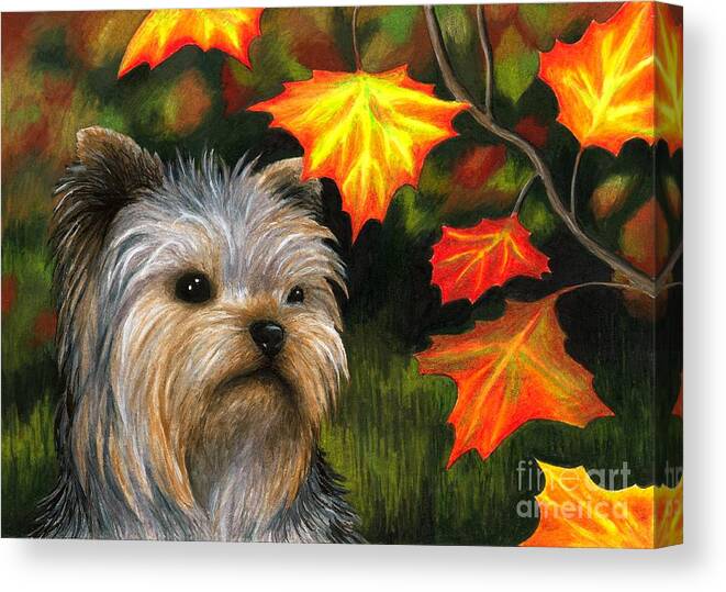 Dog Canvas Print featuring the painting Dog 78 Yorkshire by Lucie Dumas