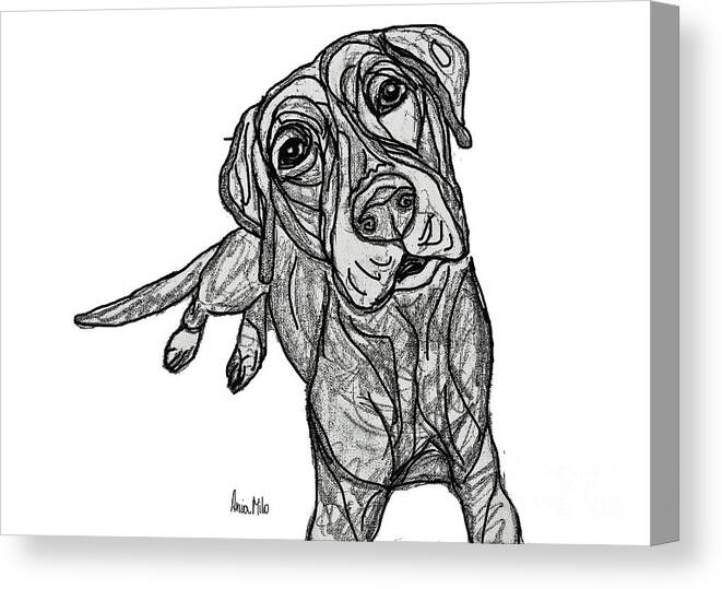 Dog Canvas Print featuring the digital art Dog Sketch in Charcoal 10 by Ania M Milo