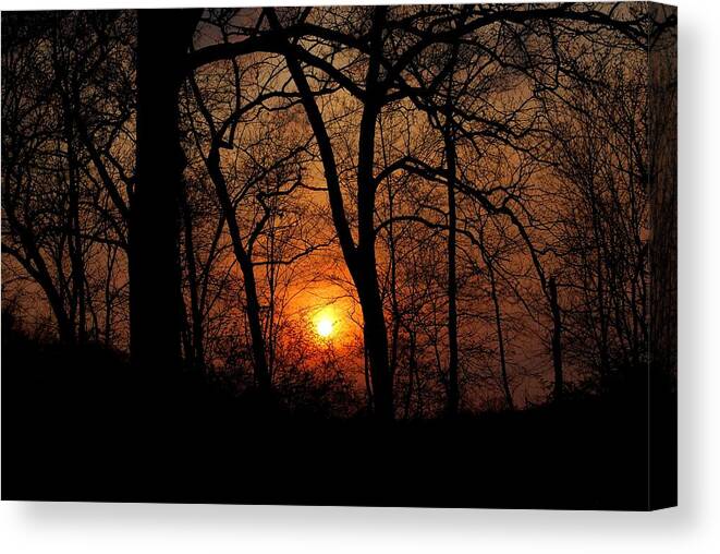 Trees Canvas Print featuring the photograph Dramatic Sunset Through Trees by Matt Quest