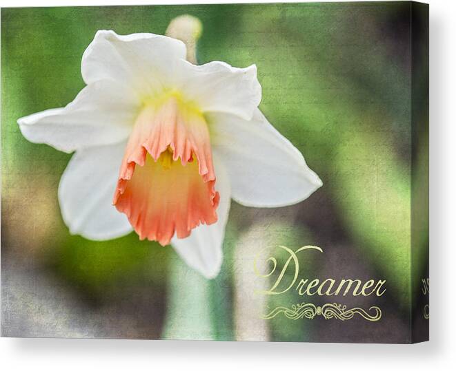 Flower Canvas Print featuring the photograph Dreamer by Cathy Kovarik