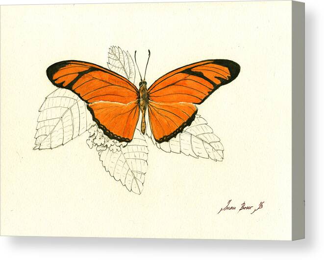 Butterfly Art Canvas Print featuring the painting Dryas iulia, Orange Julia Butterfly by Juan Bosco