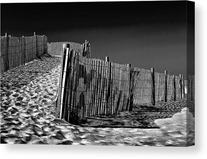 Beach Canvas Print featuring the photograph Dune fence, black and white by Bill Jonscher