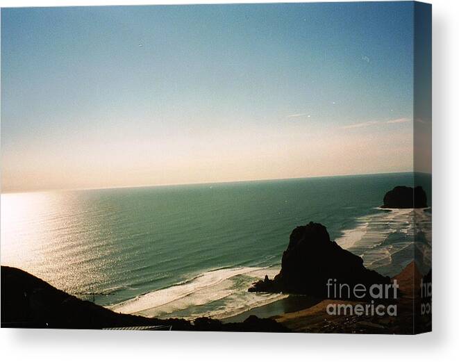 New Zealand Canvas Print featuring the photograph East Coastline in New Zealand by Cindy Schneider