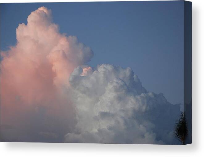 Clouds Canvas Print featuring the photograph Elephant Cloud by Rob Hans