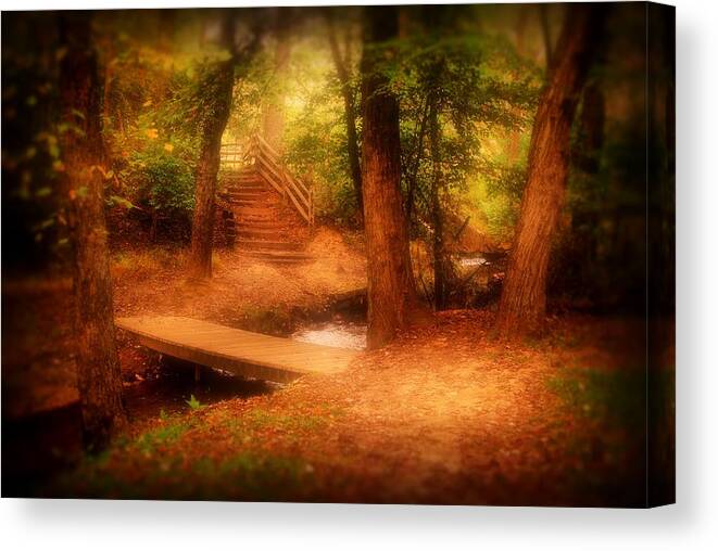 Autumn Canvas Print featuring the photograph Enchanted Path - Allaire State Park by Angie Tirado