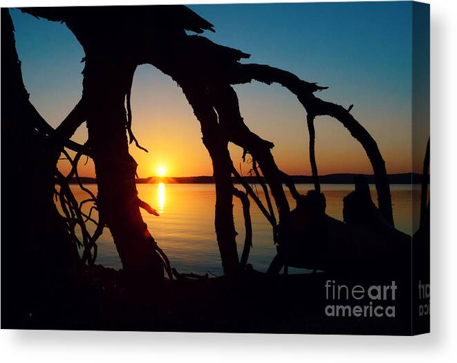 Lake Canvas Print featuring the photograph Exposed by Kelly Nowak