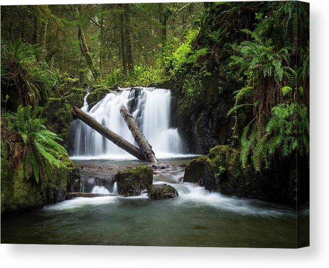 Cannon Beach Canvas Print featuring the photograph Falls on Canyon Creek by Robert Potts