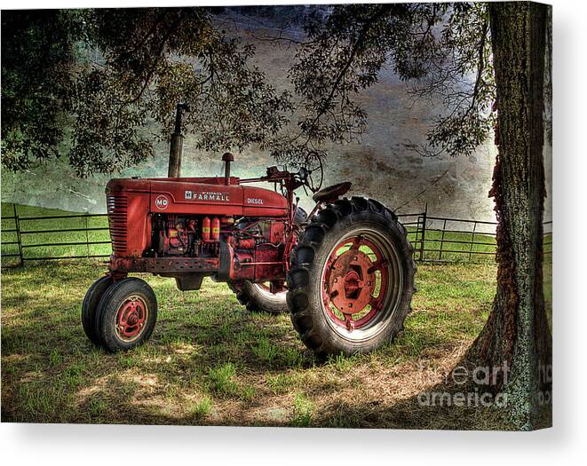 Farmall Tractor Canvas Print featuring the photograph Farmall In The Field by Michael Eingle