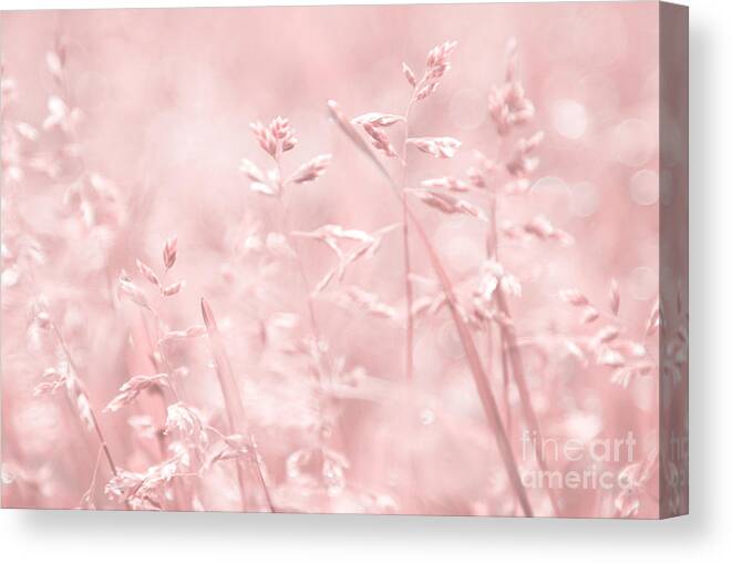 Pink Canvas Print featuring the photograph Femina by Aimelle Ml