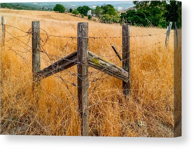 Fences Canvas Print featuring the photograph Fenced In by Derek Dean
