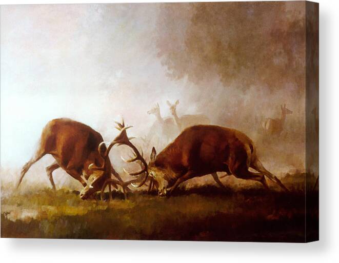 Fighting Stags Canvas Print featuring the painting Fighting Stags II. by Attila Meszlenyi