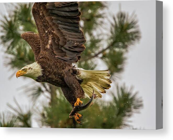 California Canvas Print featuring the photograph Fishing on a Rainy Afternoon by Marc Crumpler