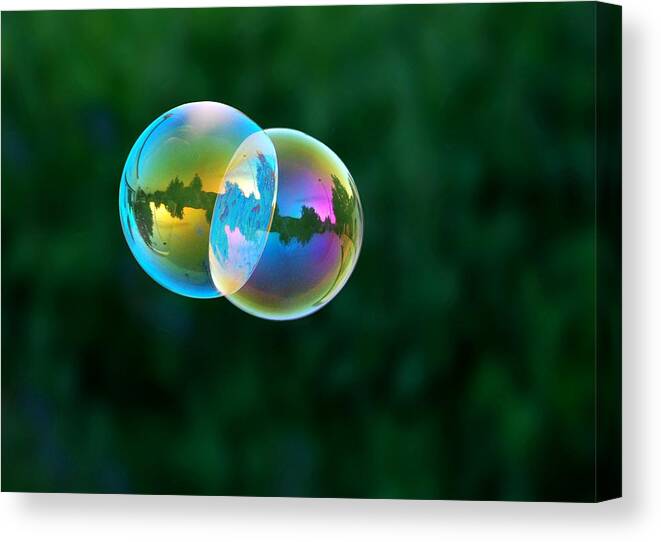 Bubbles Canvas Print featuring the photograph Floating Double by Marilynne Bull