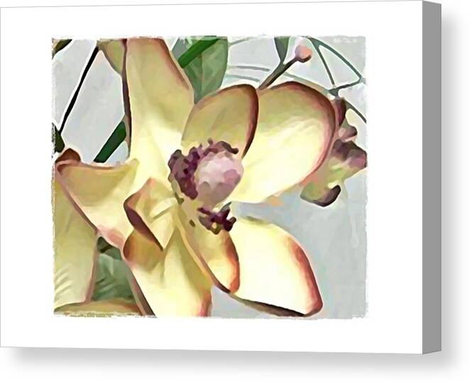 Burgundy Canvas Print featuring the digital art Floral Series III by Terry Mulligan