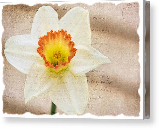 Flower Canvas Print featuring the photograph Flower 0440 by Cathy Kovarik