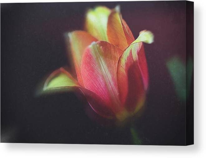 Flower Canvas Print featuring the photograph Flower-3 by Okan YILMAZ