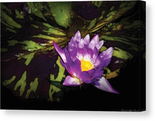 Nymphaea Canvas Print featuring the photograph Flower - Lotus - Nymphaea - Pleasant Day by Mike Savad