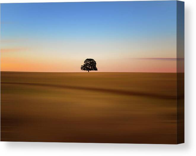 Anderson Canvas Print featuring the photograph Focus on one thing at a time by Marnie Patchett