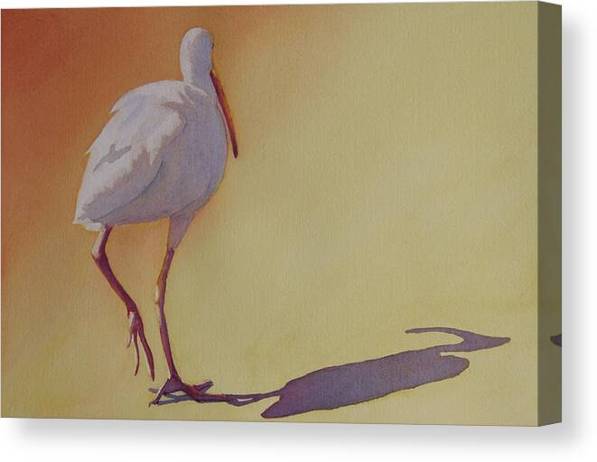 Ibis Canvas Print featuring the painting Follow the Leader by Judy Mercer