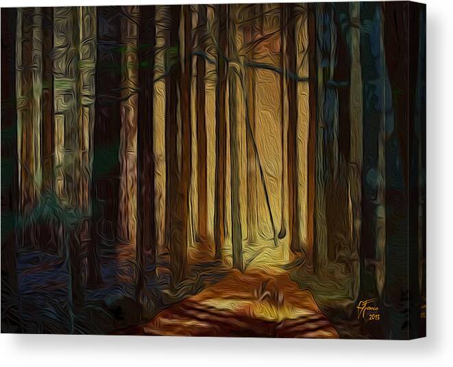 Artwork For Sale Canvas Print featuring the digital art Forrest sun by Vincent Franco