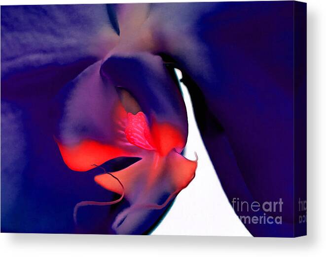 Orchid Canvas Print featuring the photograph Fourth Of July by Krissy Katsimbras