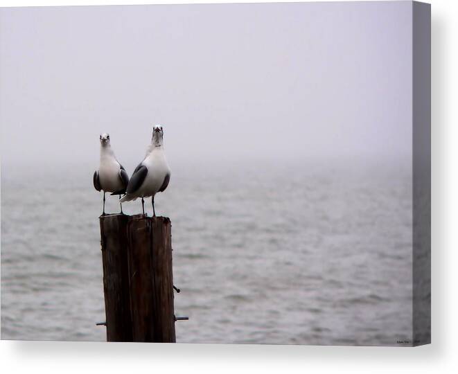 Friends In The Fog Canvas Print featuring the photograph Friends In The Fog by Kathy K McClellan