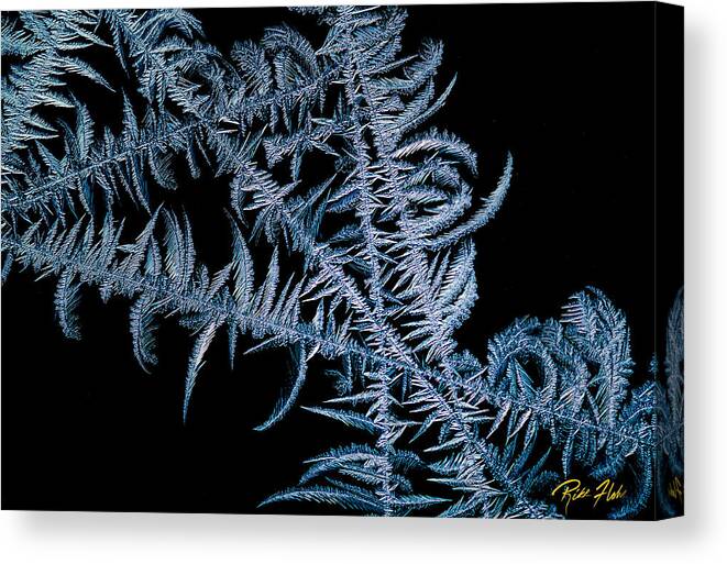 Frost Canvas Print featuring the photograph Frost on Black by Rikk Flohr