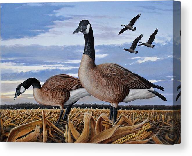 Geese Canvas Print featuring the painting Geese in Corn Field by Anthony J Padgett