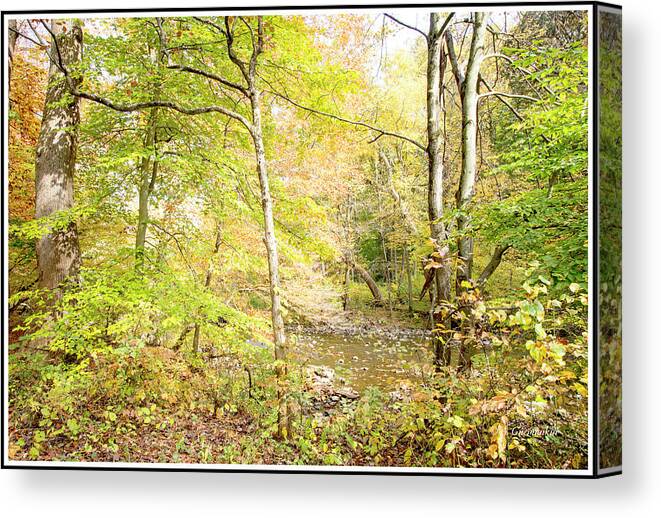 Stream Canvas Print featuring the photograph Glimpse of a Stream in Autumn by A Macarthur Gurmankin