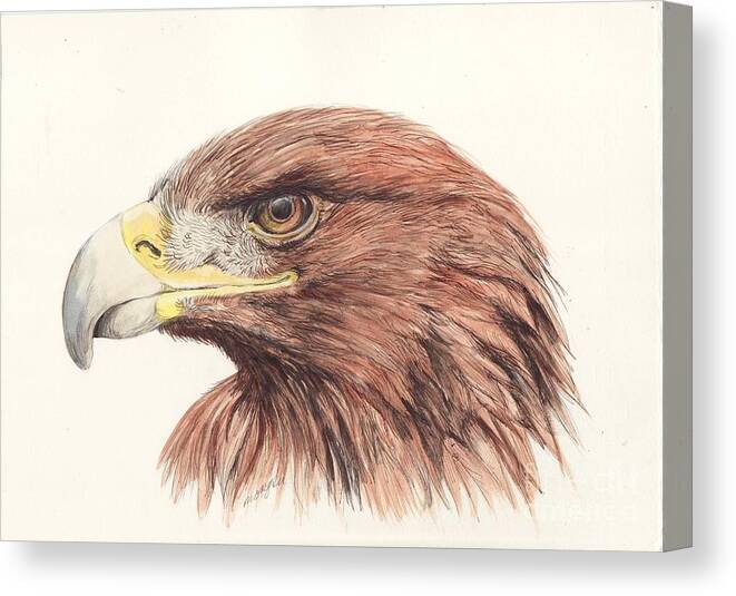 Golden Canvas Print featuring the painting Golden Eagle by Morgan Fitzsimons