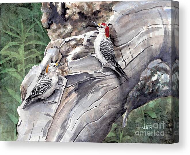 Wildlife Canvas Print featuring the painting Golden-fronted Woodpeckers by Steve Hamlin
