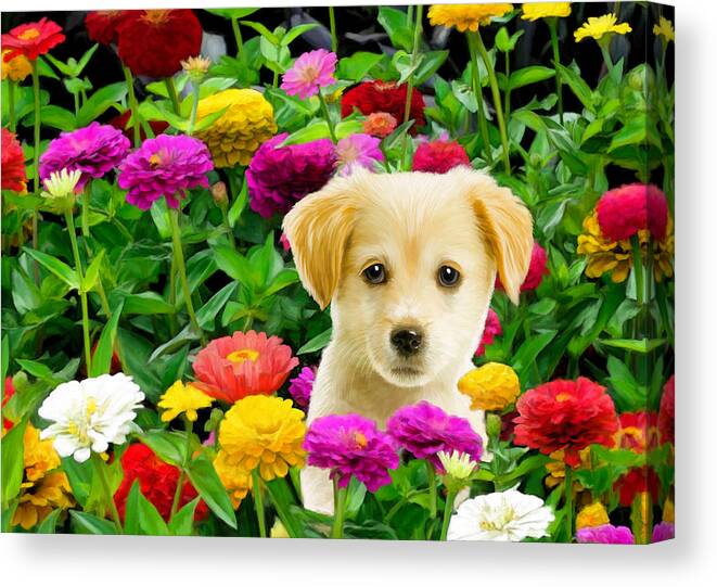 Puppy Canvas Print featuring the digital art Golden Puppy in the Zinnias by Bob Nolin