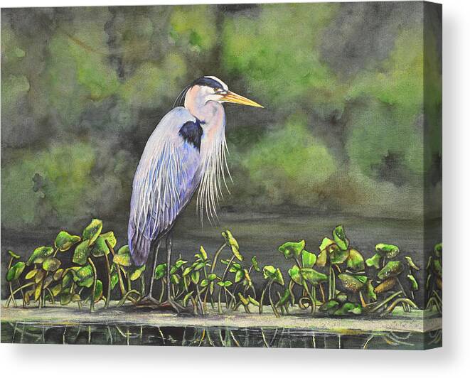 Great Blue Heron Canvas Print featuring the painting Great Blue Heron on Lily Pad by Laurie Tietjen