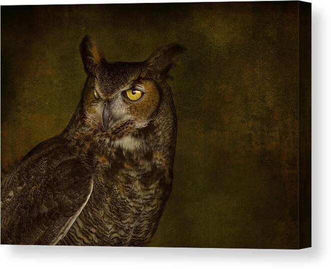 Great Horned Owls Canvas Print featuring the photograph Great Horned Owl by Pat Abbott
