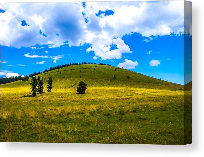 Green Peak Canvas Print featuring the photograph Green Peak Yellow by Len Morales Jr